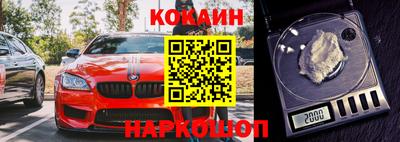 бошки Кингисепп