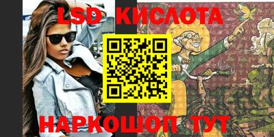 бошки Кингисепп