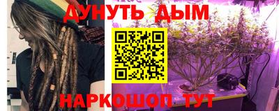 бошки Кингисепп