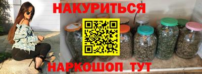 бошки Кингисепп