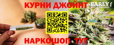 бошки Кингисепп
