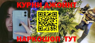 бошки Кингисепп