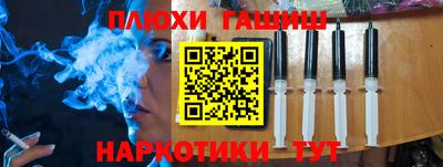 бошки Кингисепп
