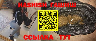 бошки Кингисепп