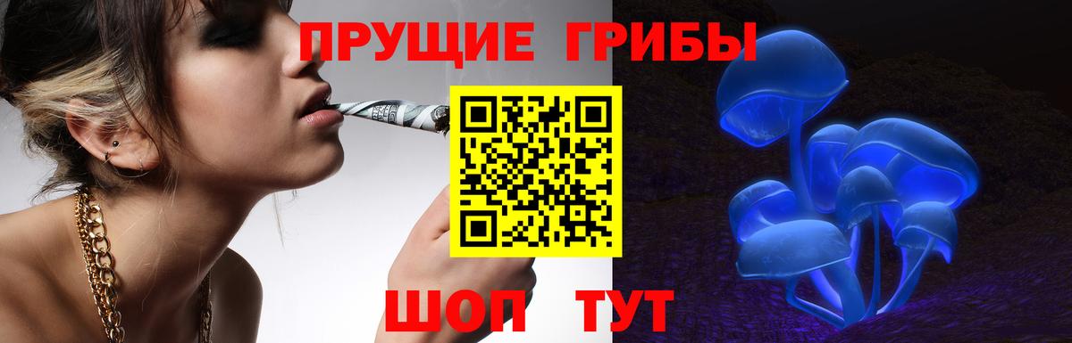 Калининград  Псилоцибиновые грибы Cubensis  Вход с VPN 